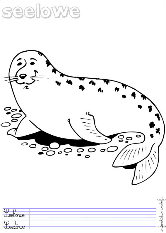 coloriage otarie 1